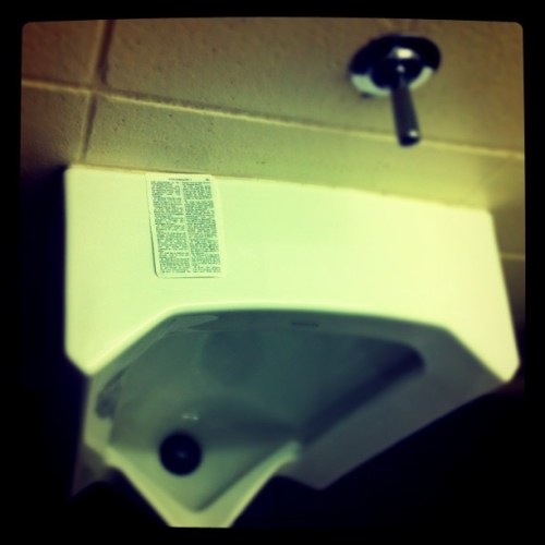 Media_httpimagesinsta_ejcir