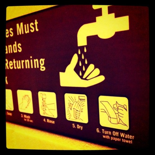 Media_httpimagesinsta_dlsqu