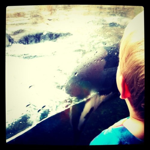 Media_httpimagesinsta_pqgiq