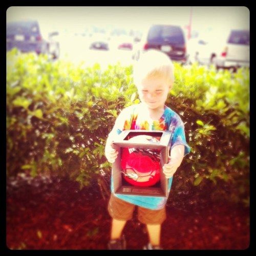 Media_httpimagesinsta_zfahh