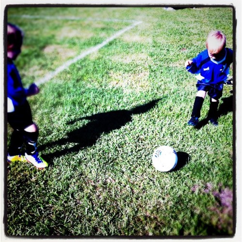 Media_httpimagesinsta_ibgfe