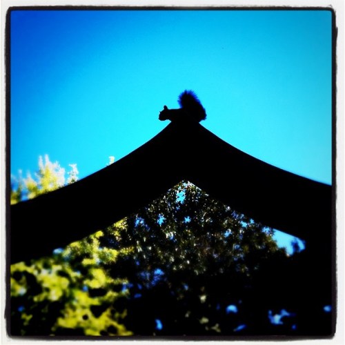 Media_httpimagesinsta_ldizj