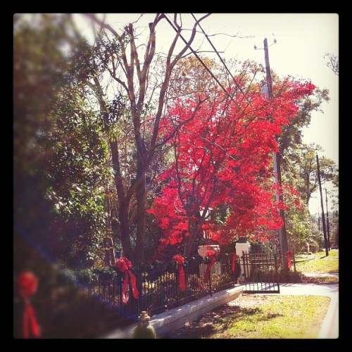 Media_httpdistilleryi_abear