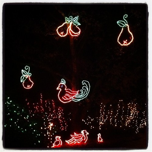 Media_httpdistilleryi_ubckj