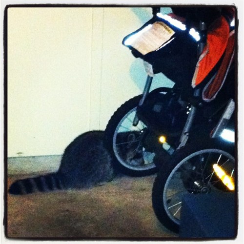 Media_httpdistilleryi_cfcxi