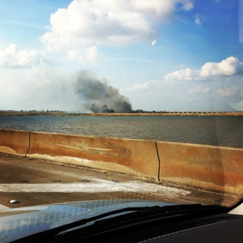 Media_httpdistilleryi_dnbff