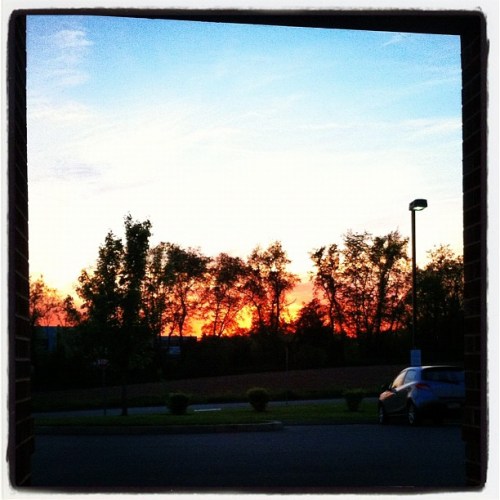 Media_httpdistilleryi_wlkhs