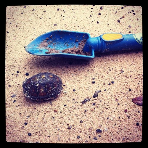 Media_httpdistilleryi_hwwth