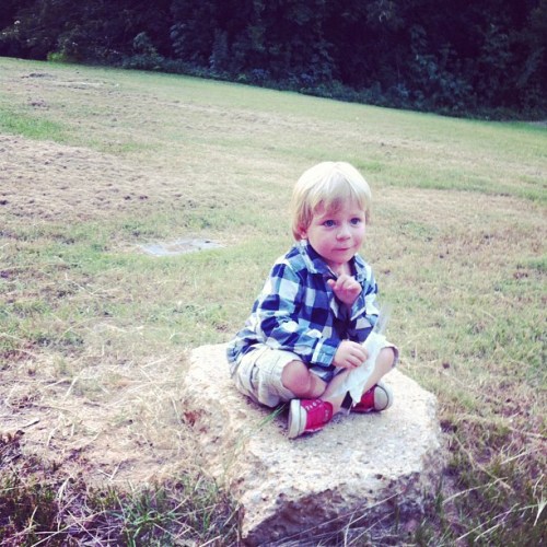 Media_httpdistilleryi_ujjqa